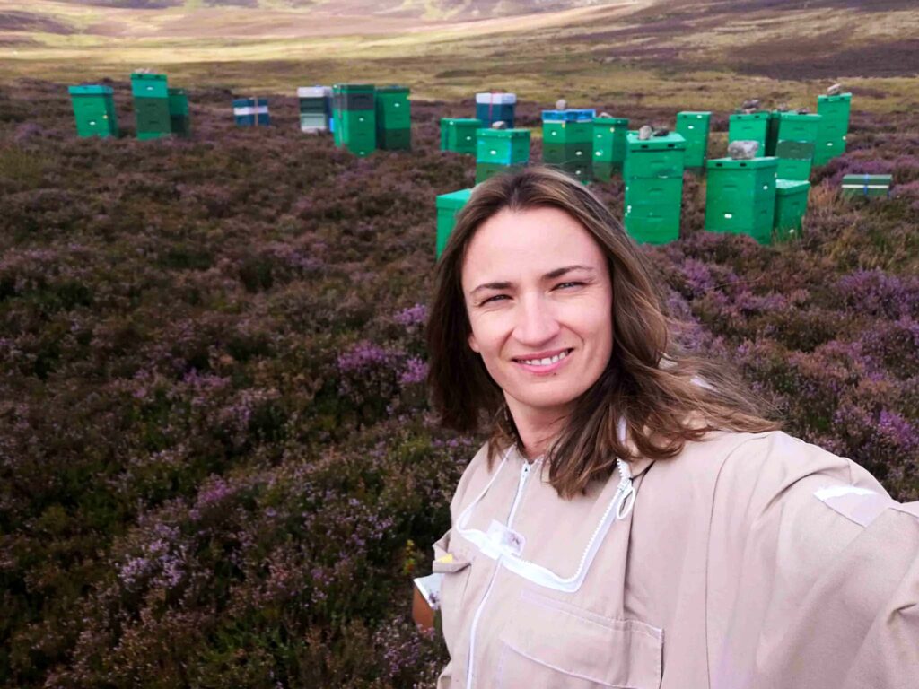 YorkBee bee hives - this is where honey, beeswax candles and bee pollen come from.