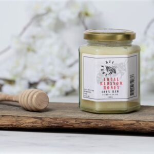 100% Raw Local Blossom Honey - Light & Fruity!