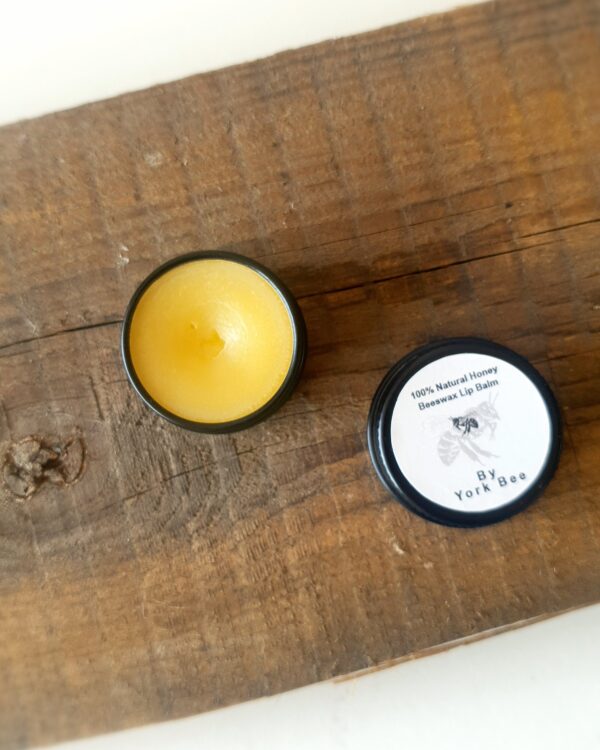 Eco Lip Balm-With Raw Honey Protects & Moisturizes